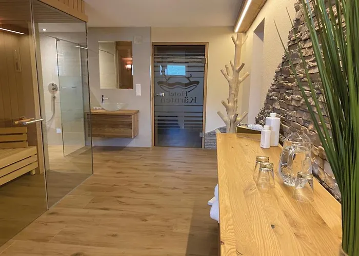 Отель Kaernten 4*